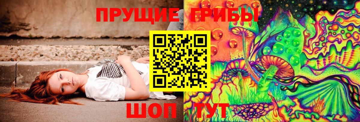 Псилоцибиновые грибы Psilocybe  Вход с VPN  Королёв  Галлюциногенные грибы Psilocybine cubensis 